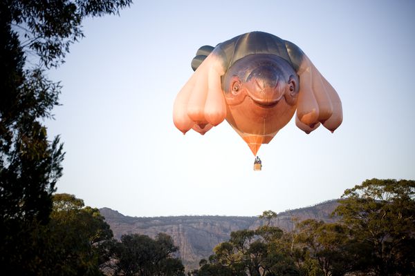 Patricia Piccinini, Skywhale 2013, nylon, polyester, nomex, hyperlast, cable, 340 x 230 x 200 cm, commissioned for The Centenary of Canberra.
 
