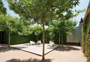 A crisp plane of paving is positioned within a square of four plane trees.