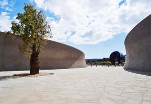 At the entry to Pt. Leo Estate, a dramatic sculptural courtyard featuring a Queensland bottle tree is an intense, dry space that contrasts the vineyards surrounding it.