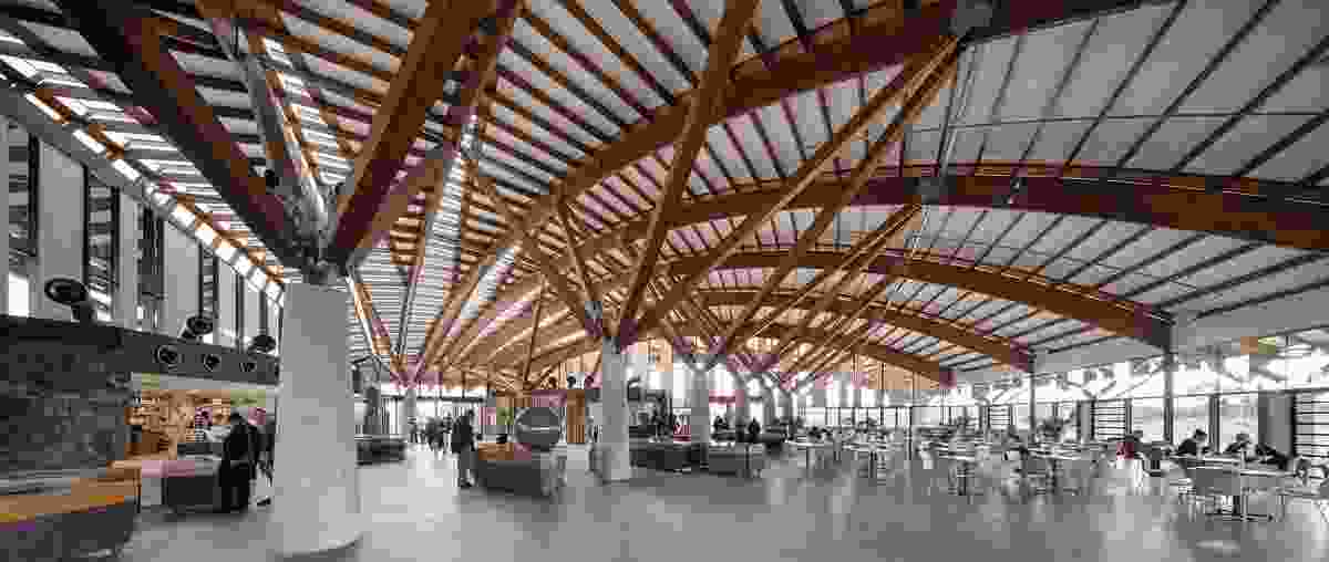 The vaulted roof inside the Visitor Centre features radiating timber beams supported by concrete columns.