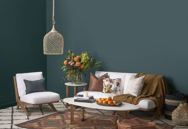Night Watch, the 2019 Taubmans Colour of the Year.