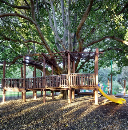 Mature Moreton Bay fig trees afford shade and shelter throughout the day.