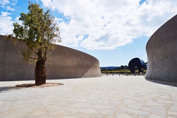 At the entry to Pt. Leo Estate, a dramatic sculptural courtyard featuring a Queensland bottle tree is an intense, dry space that contrasts the vineyards surrounding it.