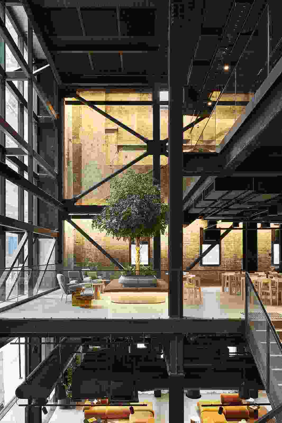 2025 Australian Interior Design Awards shortlist: Workplace Design ...
