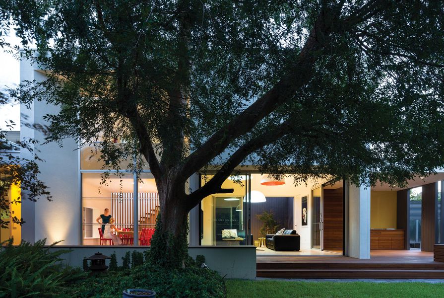 The Toorak Gardens Residence (Adelaide, 2013) responds to the large deciduous tree in the backyard and frames the garden.