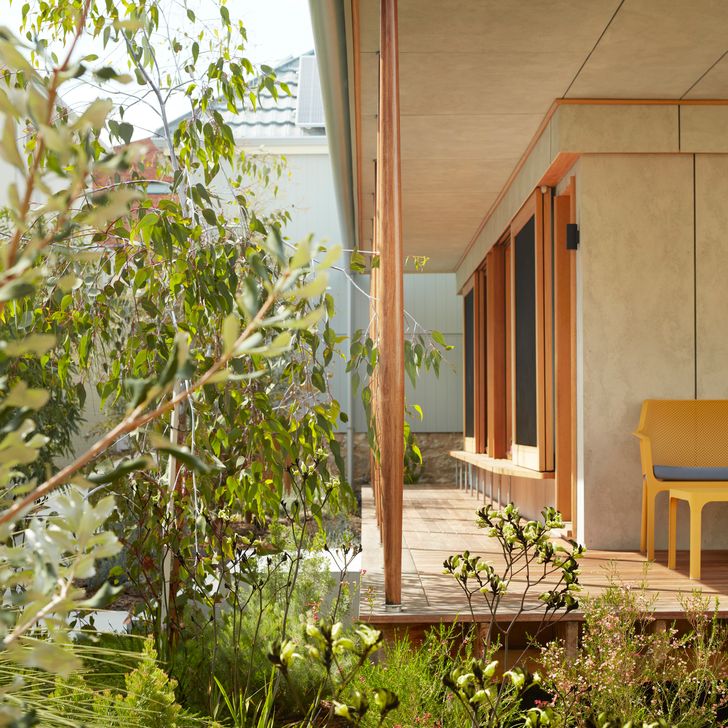 The garden, designed by Banksia and Lime, feels ever-present from within the house.