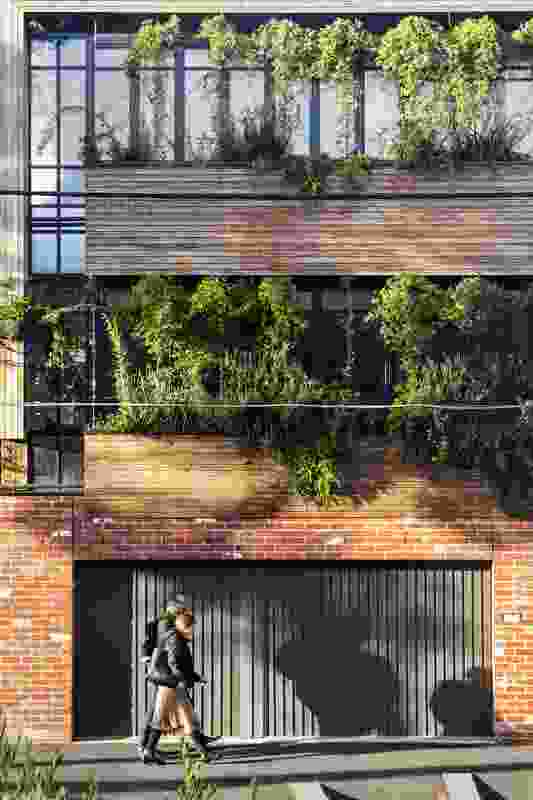 Turner Street Vertical Garden by Simon Ellis Landscape Architecture