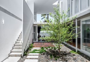 The seasonal transformation of the birch tree at New Farm Park House is a focal point in the landscaped garden.
