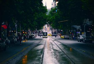 The Australian School of Urban Forest's inaugural course runs from 11 to 16 November.