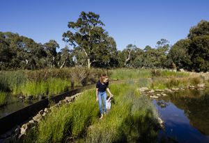 Oaklands Park & Wetland by TCL (Taylor Cullity Lethlean)