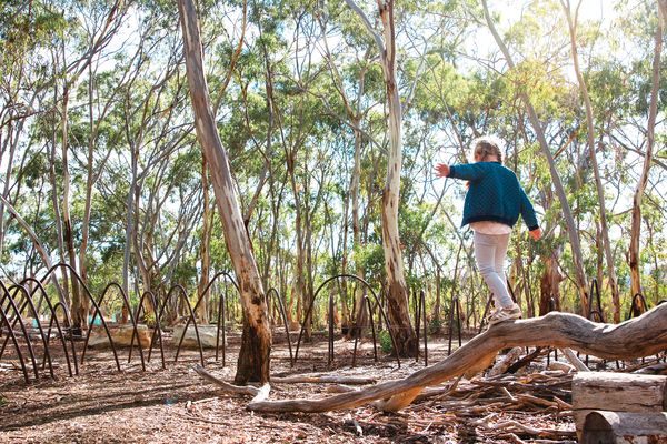 2020 National Landscape Architecture Awards: Landscape Architecture ...