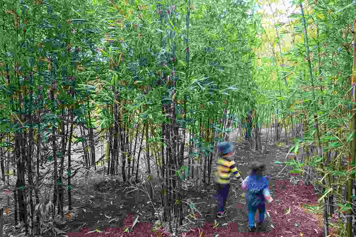 A dense bamboo forest at Ian Potter Children’s Wild Play Garden designed by Aspect Studios at Centennial Park encourages exploration and adventure.