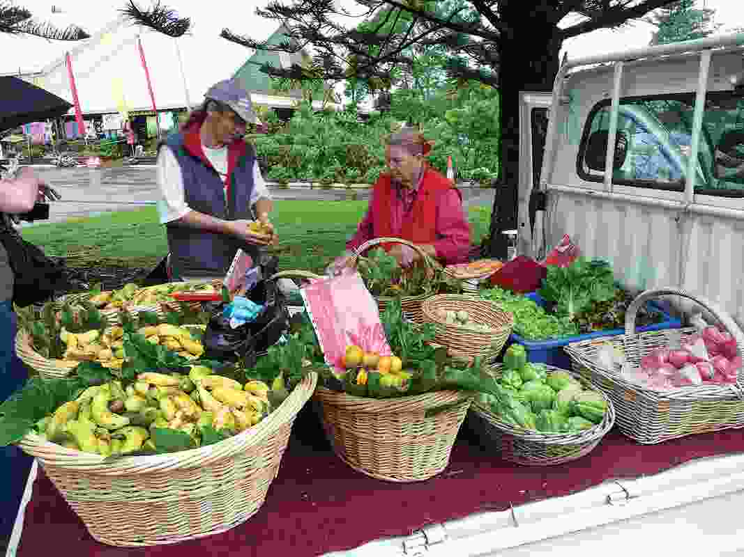 Farmers’ markets bring healthier food to where people live, which improves the likelihood of healthy eating habits. 